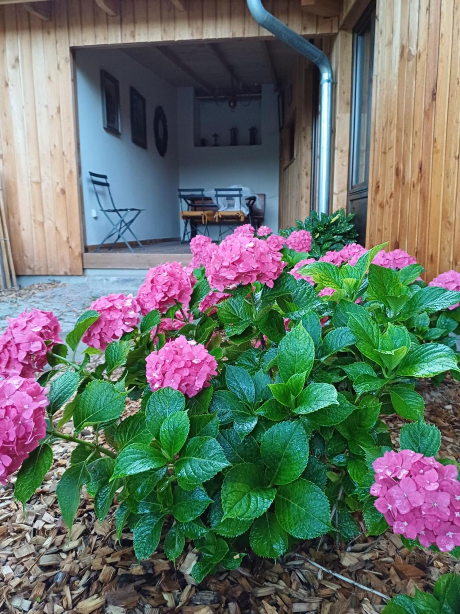 Les Cottages Du Chateau De Werde Matzenheim Luaran gambar