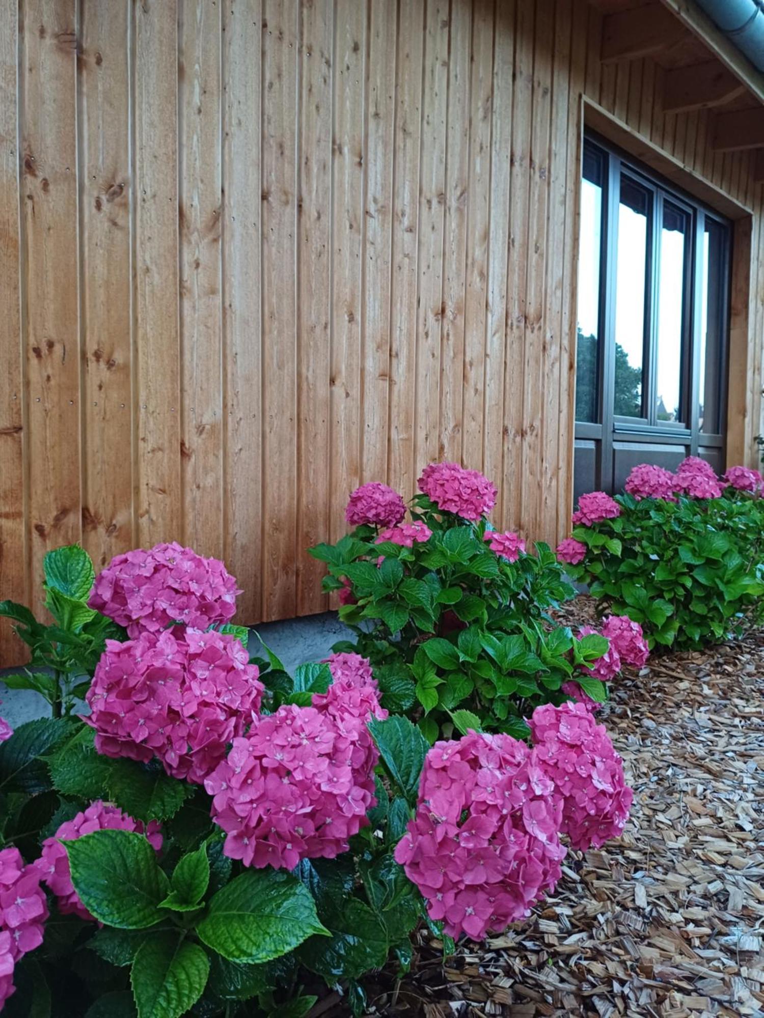 Les Cottages Du Chateau De Werde Matzenheim Luaran gambar